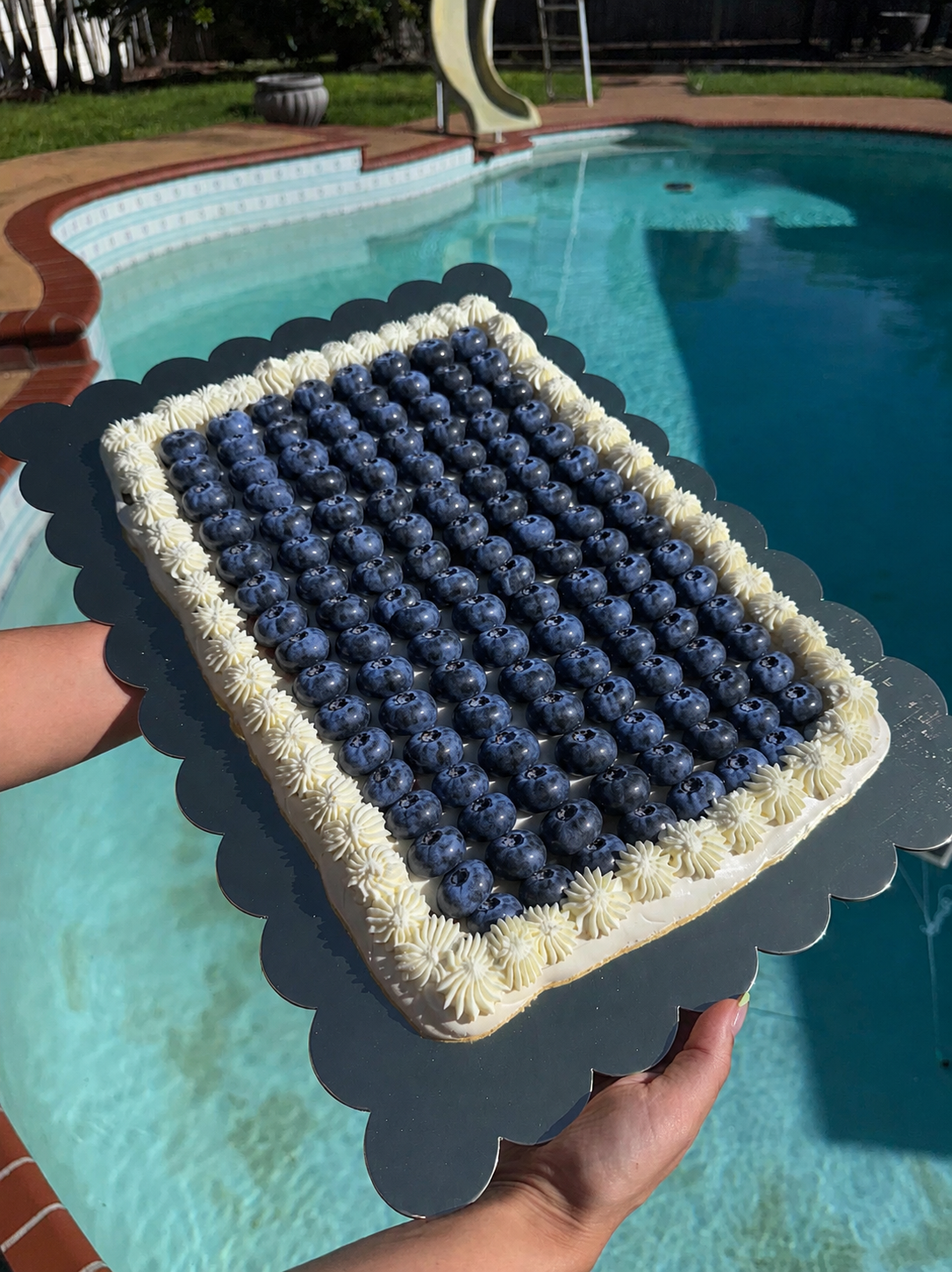 Rectangle Pavlova