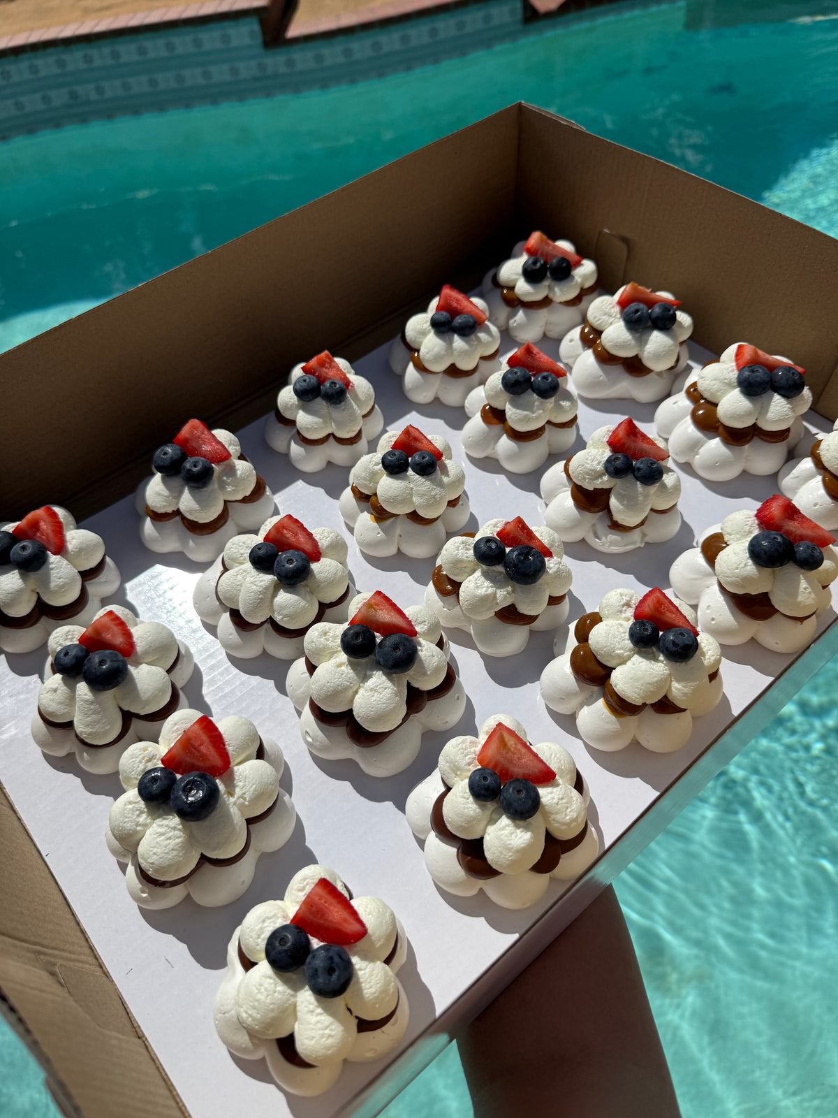 Mini Signature Pavlovas🎀